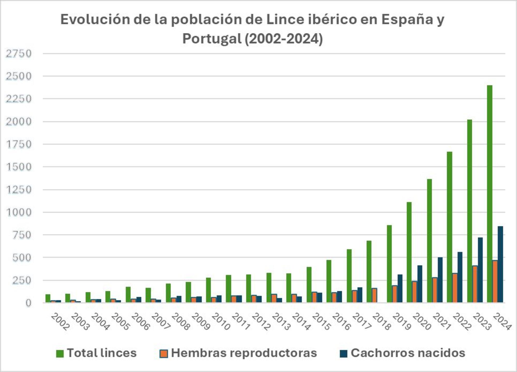 Evolución población lince 2002 2024